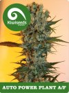 Auto Power Plant AF (Автоцветущие феминизированные)