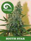 South Star (Обычные)