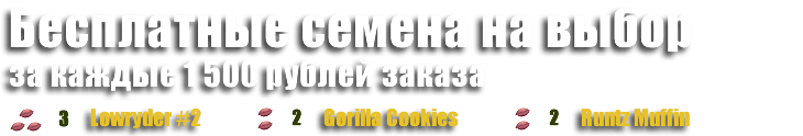 Бесплатные семена в подарок за каждые 1500 рублей заказа!